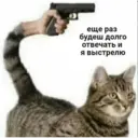Стикер