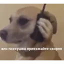 Стикер