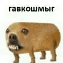Стикер