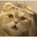 Стикер
