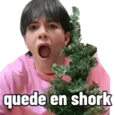 Stika