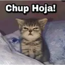 Figurinha