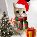 اسٹیکر