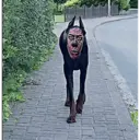स्टिकर