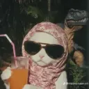 Стикер