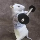 ステッカー