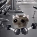 ステッカー