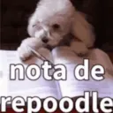מדבקה