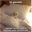 Samolepka