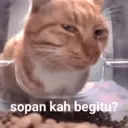 ملصق
