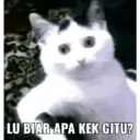 Límmiði