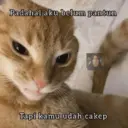 Çıkartma