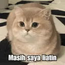Çıkartma