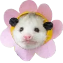 Figurinha