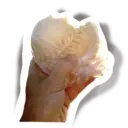 Samolepka