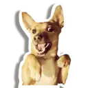 Samolepka