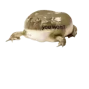 اسٹیکر