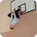 ملصق