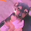Figurinha