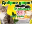 Կպչուն պիտակ