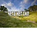 Կպչուն պիտակ