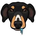 ස්ටිකර්