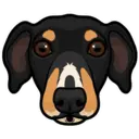 ස්ටිකර්