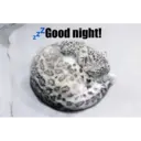 స్టికర్
