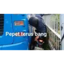 Samolepka