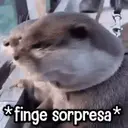Կպչուն պիտակ
