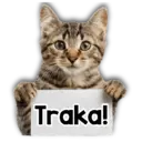 Stiker