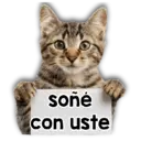 Stiker