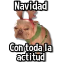 Límmiði