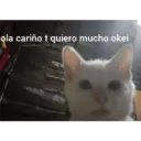 ملصق