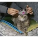 ملصق