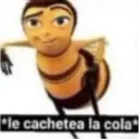 ملصق