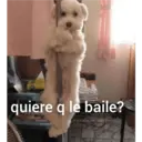 ملصق