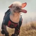 Çıkartma