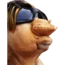 Стикер