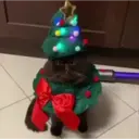 Çıkartma