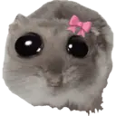 ਸਟਿਕਰ