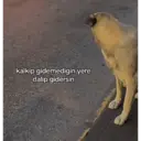 Límmiði