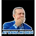 Stika