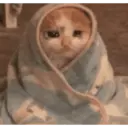 ਸਟਿਕਰ
