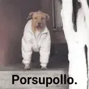 Çıkartma