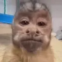 Figurinha