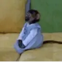 Figurinha