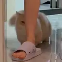 Stika