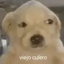 贴纸