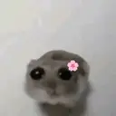 Figurinha